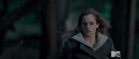TeaserTrailerRdMMTVPotterish_2833329.jpg