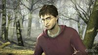 TeaserTrailerRdMPotterish_2823129.jpg