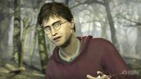 TeaserTrailerRdMPotterish_2823429.jpg