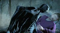 TeaserTrailerRdMPotterish_2838329.jpg