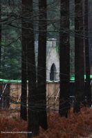 dhswinley-snitchseeker_28629.JPG