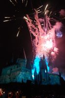 fireworks3.jpg