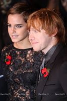 harry_potter_034.jpg