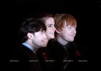 harry_potter_7_wenn3093567.jpg