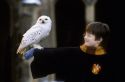 hp1-stills-hd-15.jpg