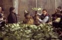 hp2-stills-hd-12.jpg
