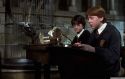 hp2-stills-hd-53.jpg