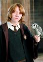 hp4-photoshoot-hd-6.jpg