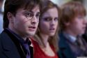 rdm1-stills-hd-14.jpg