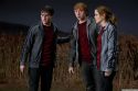 rdm1-stills-hd-29.jpg