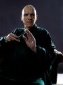 rdm2-photoshoot-hd-32.jpg