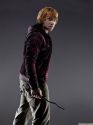 rdm2-photoshoot-hd-41.jpg