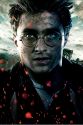 rdm2-posteres-hd-16.jpg