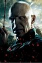 rdm2-posteres-hd-19.jpg