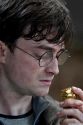 rdm2-stills-hd-15.jpg