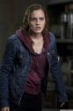 rdm2-stills-hd-26.jpg