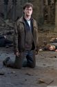 rdm2-stills-hd-28.jpg