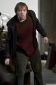 rdm2-stills-hd-31.jpg