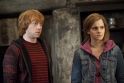 rdm2-stills-hd-52.jpg