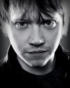 rupert-grint~0.jpg