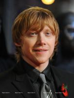 spx_potter_12464_037.jpg