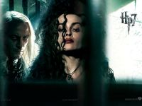 wallpaper-hp7-i-04-1600x1200.jpg