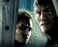 wallpaper-hp7-i-05-1280x1024.jpg