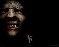 wallpaper-hp7-i-10-1280x1024.jpg