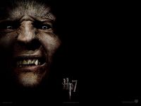 wallpaper-hp7-i-10-1600x1200.jpg