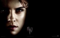 wallpaper-hp7-i-12-1920x1200.jpg