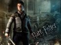 wallpaper-hp7-ii-03-1024x768.jpg