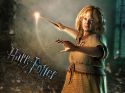 wallpaper-hp7-ii-04-1024x768.jpg