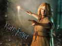 wallpaper-hp7-ii-04-1600x1200.jpg