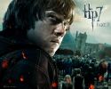 wallpaper-hp7-ii-13-1280x1024.jpg