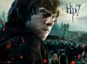 wallpaper-hp7-ii-13-1600x1200.jpg