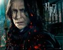 wallpaper-hp7-ii-16-1280x1024.jpg