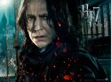 wallpaper-hp7-ii-16-1600x1200.jpg