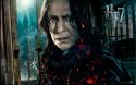 wallpaper-hp7-ii-16-1920x1200.jpg