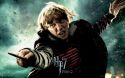 wallpaper-hp7-ii-21-1920x1200.jpg
