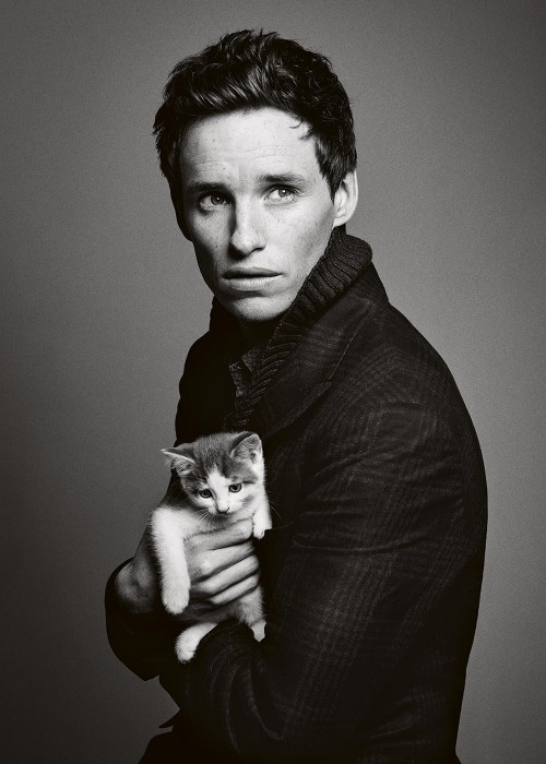 eddieredmayne_500_700_90.jpg