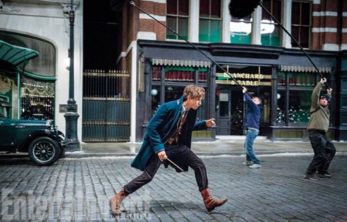 Click to view full size image
==============
fantastic-beasts-04.jpg fantastic-beasts-04.jpg