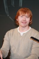 28351688.jpg