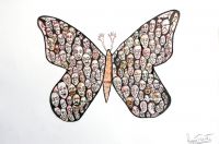 Chrysallis_Collection.JPG