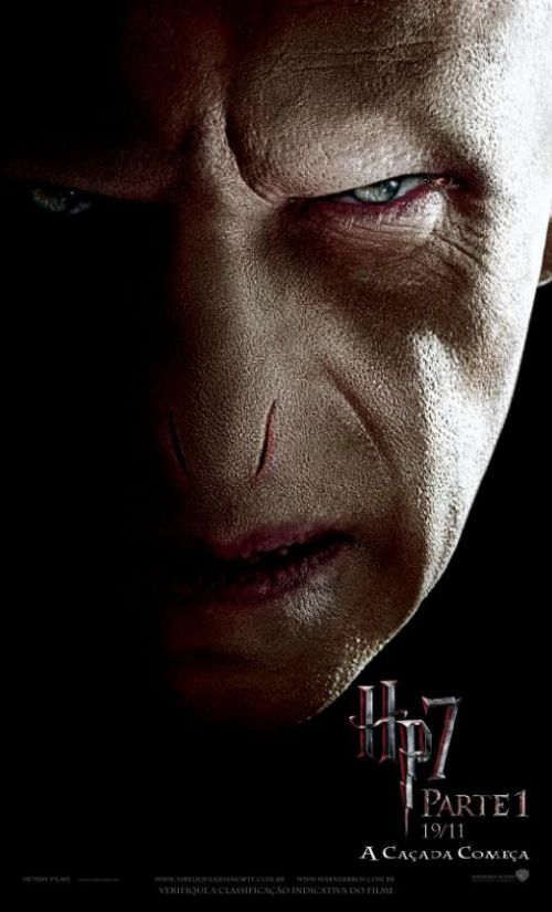 Banner_Voldemort.JPG