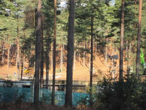 dhsetswinleyforest1006.jpg