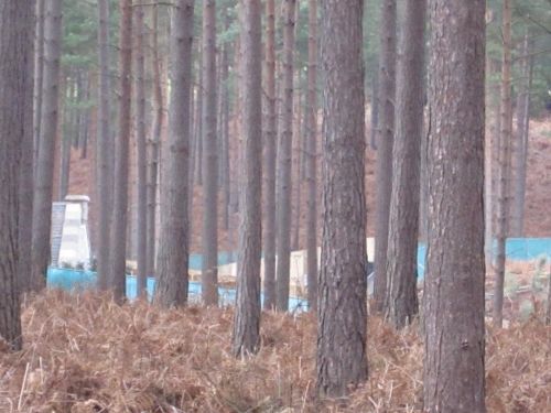 Click to view full size image
==============
dhsetswinleyforest1015.jpg dhsetswinleyforest1015.jpg