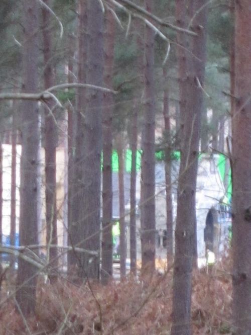 Click to view full size image
==============
dhsetswinleyforest1019c.jpg dhsetswinleyforest1019c.jpg