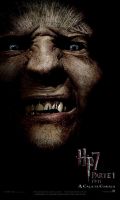 Banner_Greyback.JPG