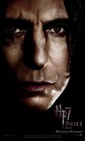 Banner_Snape.JPG