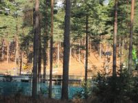 dhsetswinleyforest1006.jpg